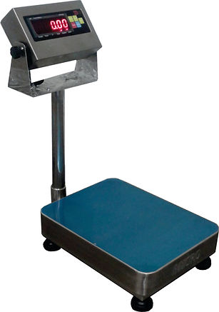 Micro A12E Stainless Steel Platform Scale