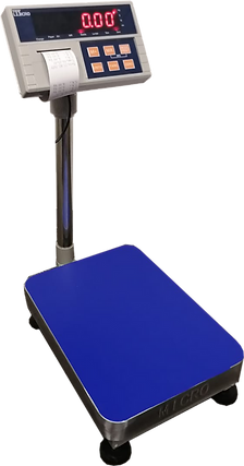Micro PWE Printing Platform Scale